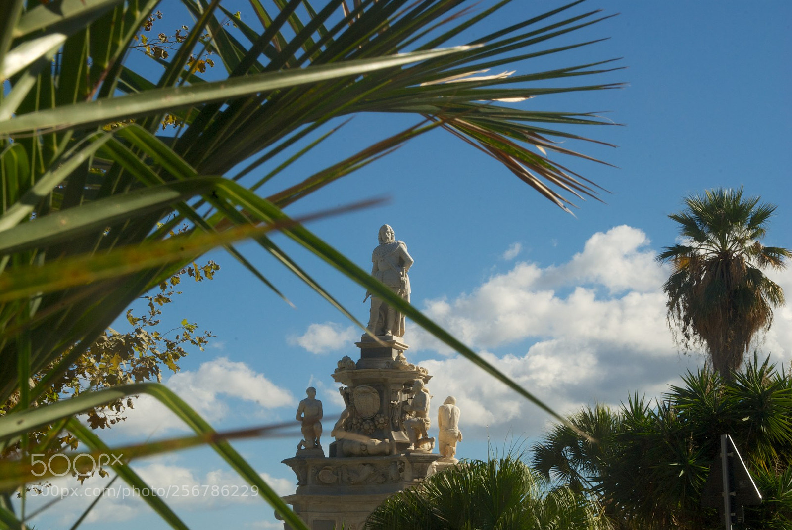 Nikon D60 sample photo. Version photography