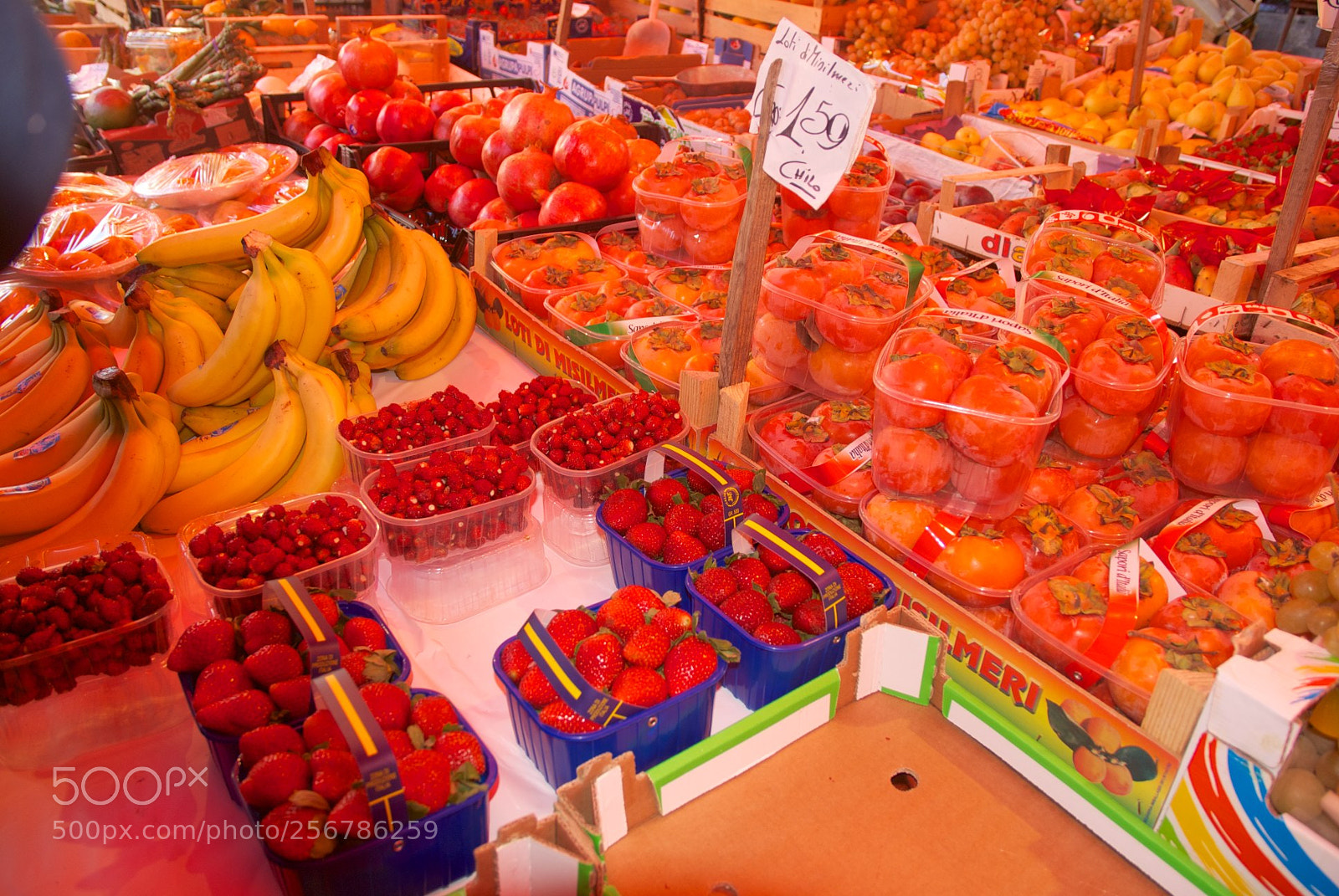Nikon D60 sample photo. Version photography