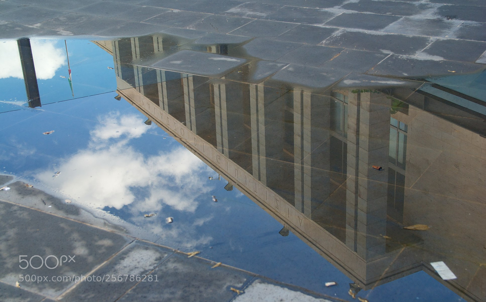 Nikon D60 sample photo. Version photography