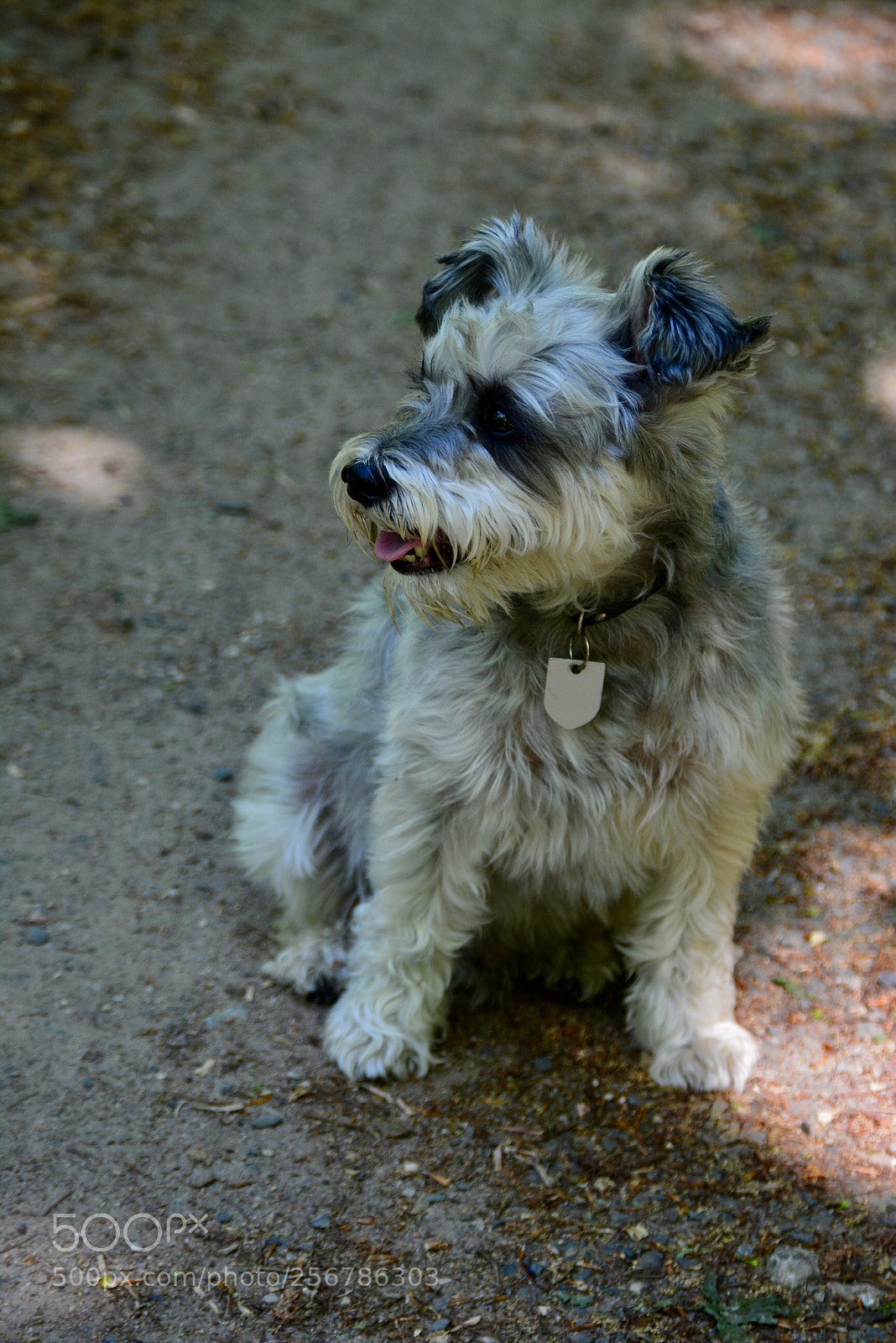 Nikon D5200 sample photo. Pumperl photography