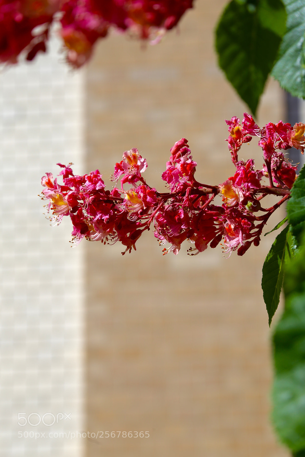 Canon EOS 6D sample photo. Berlin - mitte photography