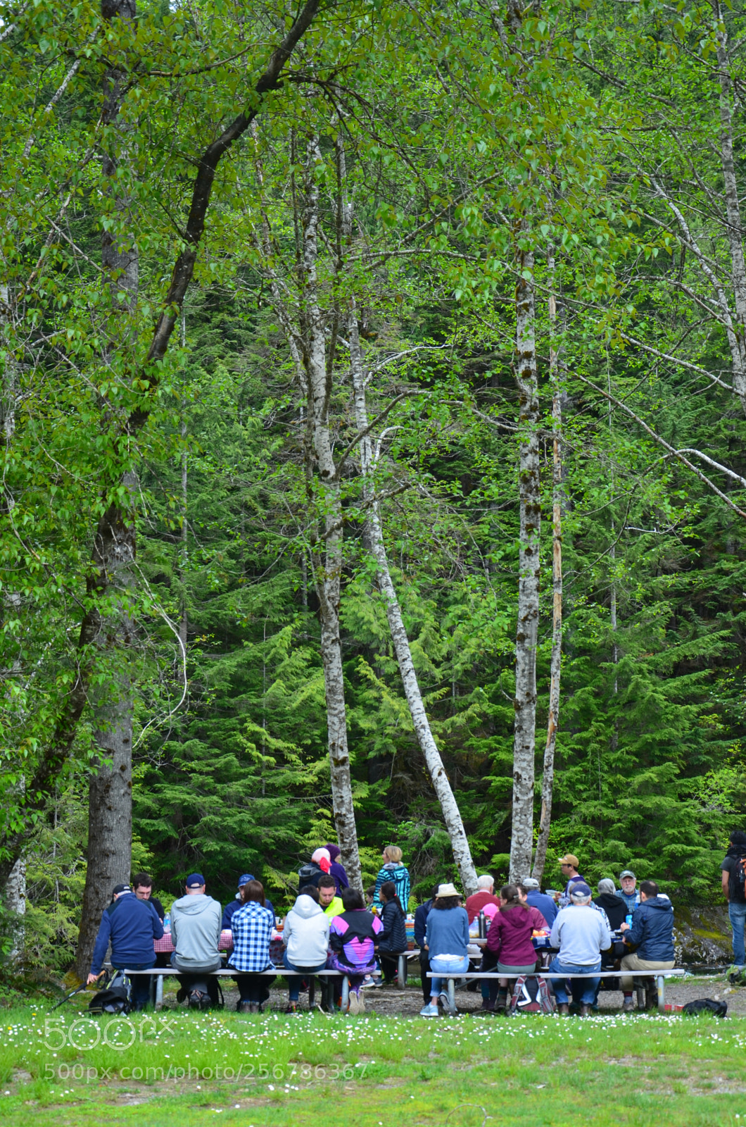 Nikon D7000 sample photo. Olallie state park (wa) photography