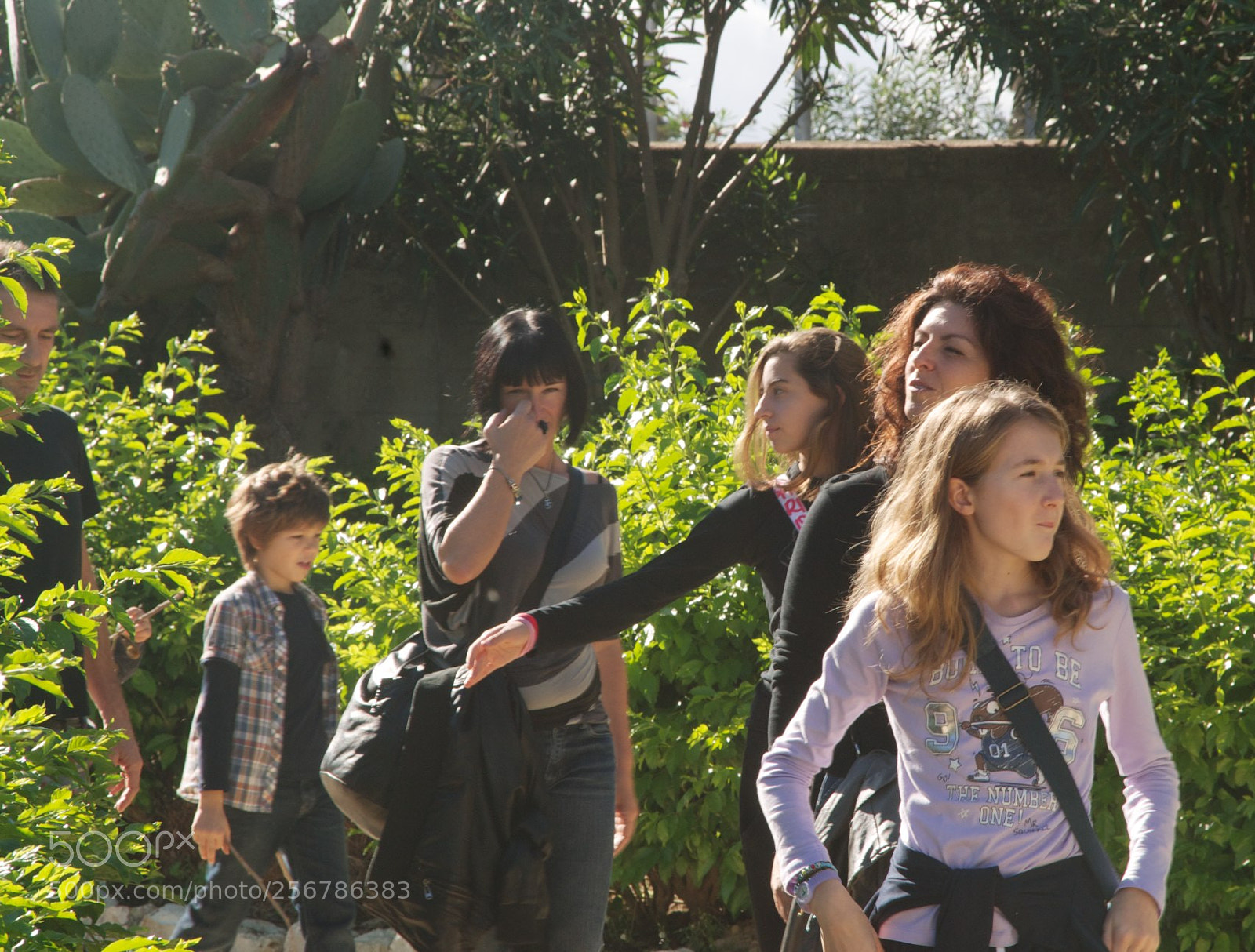 Nikon D60 sample photo. Version photography