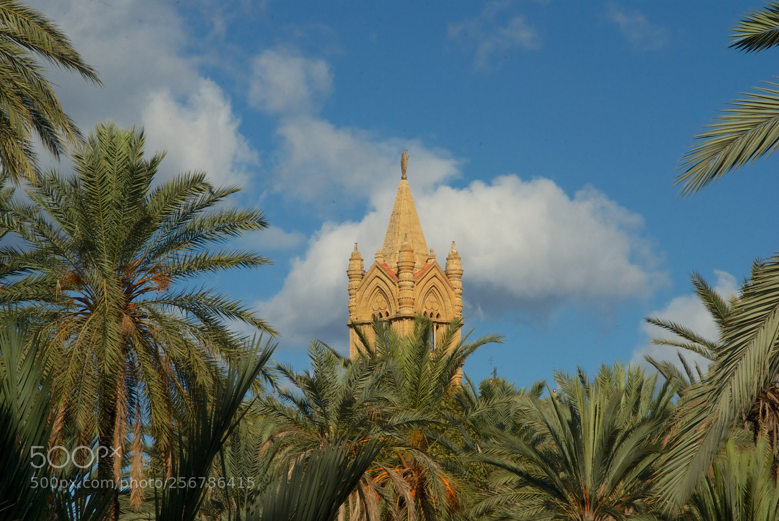 Nikon D60 sample photo. Version photography