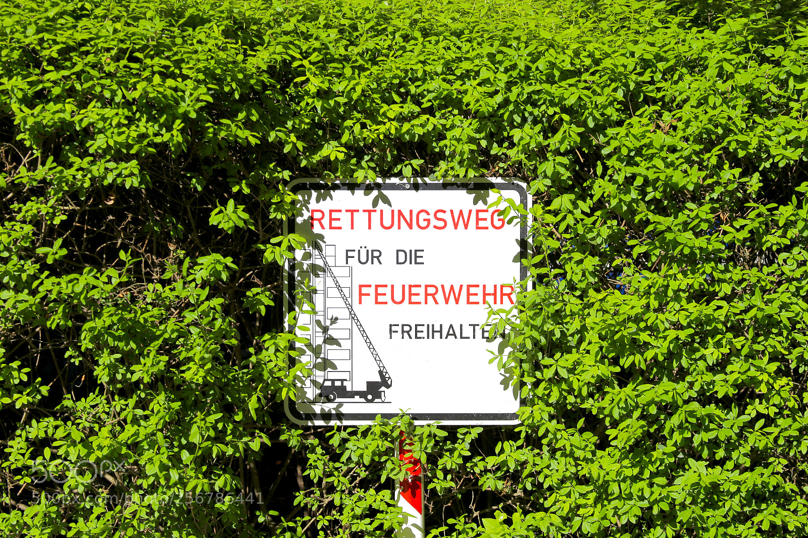 Canon EOS 6D sample photo. Berlin - mitte photography