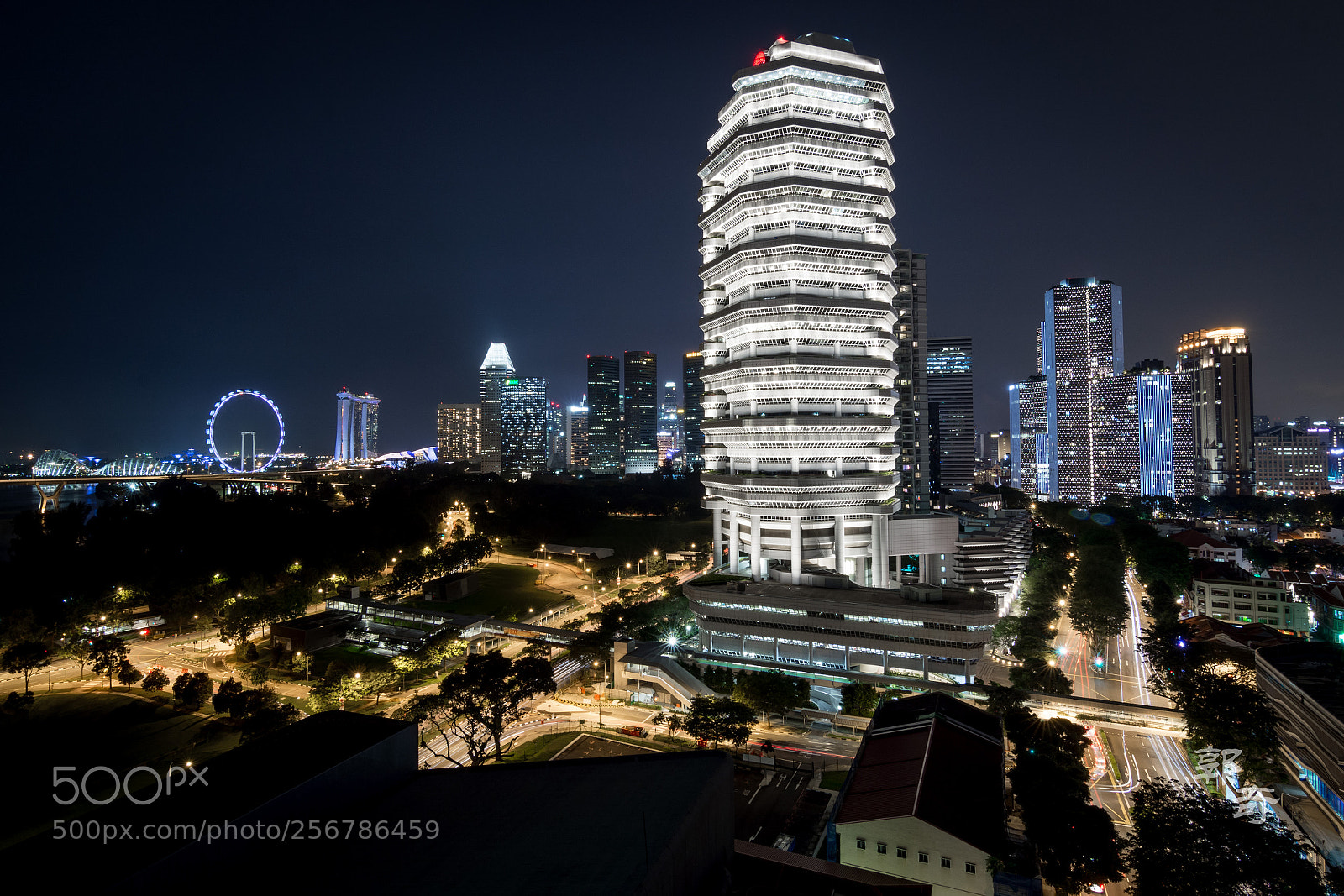 Nikon D7100 sample photo. The white pagoda photography