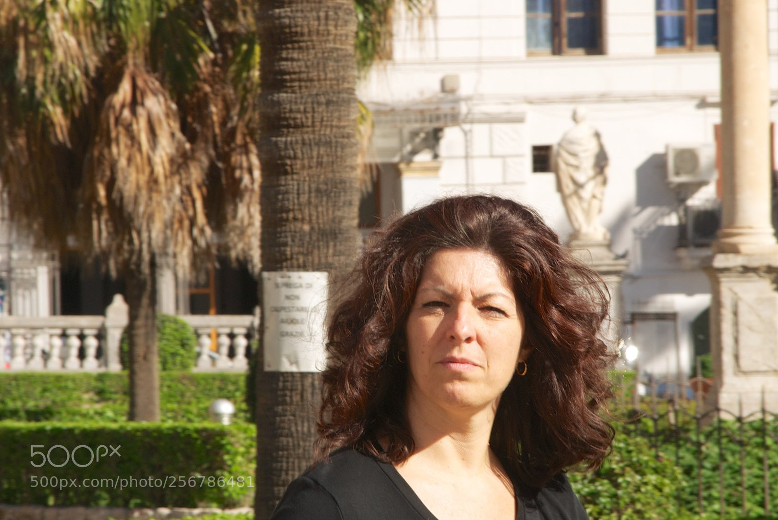 Nikon D60 sample photo. Version photography