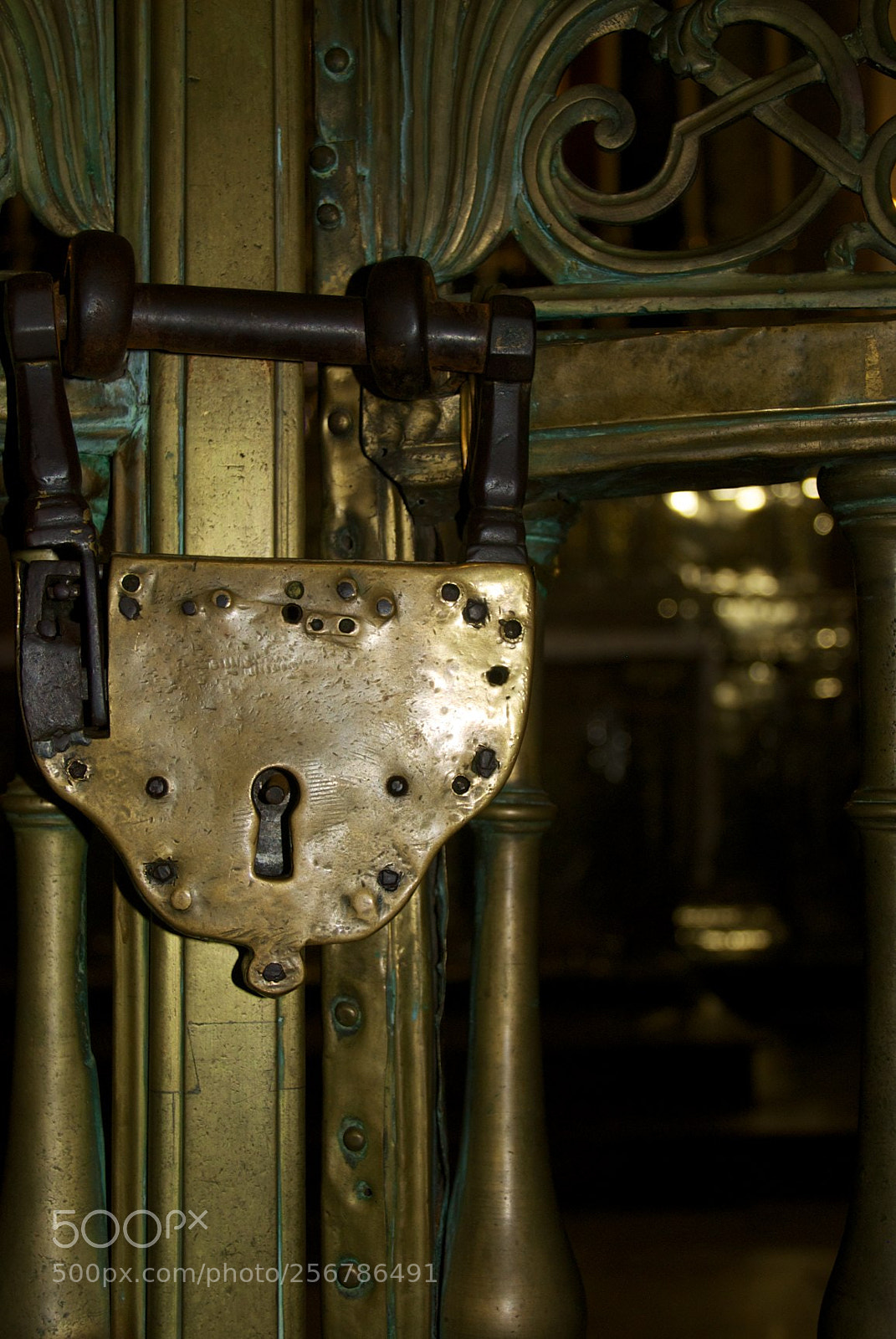 Nikon D60 sample photo. Version photography