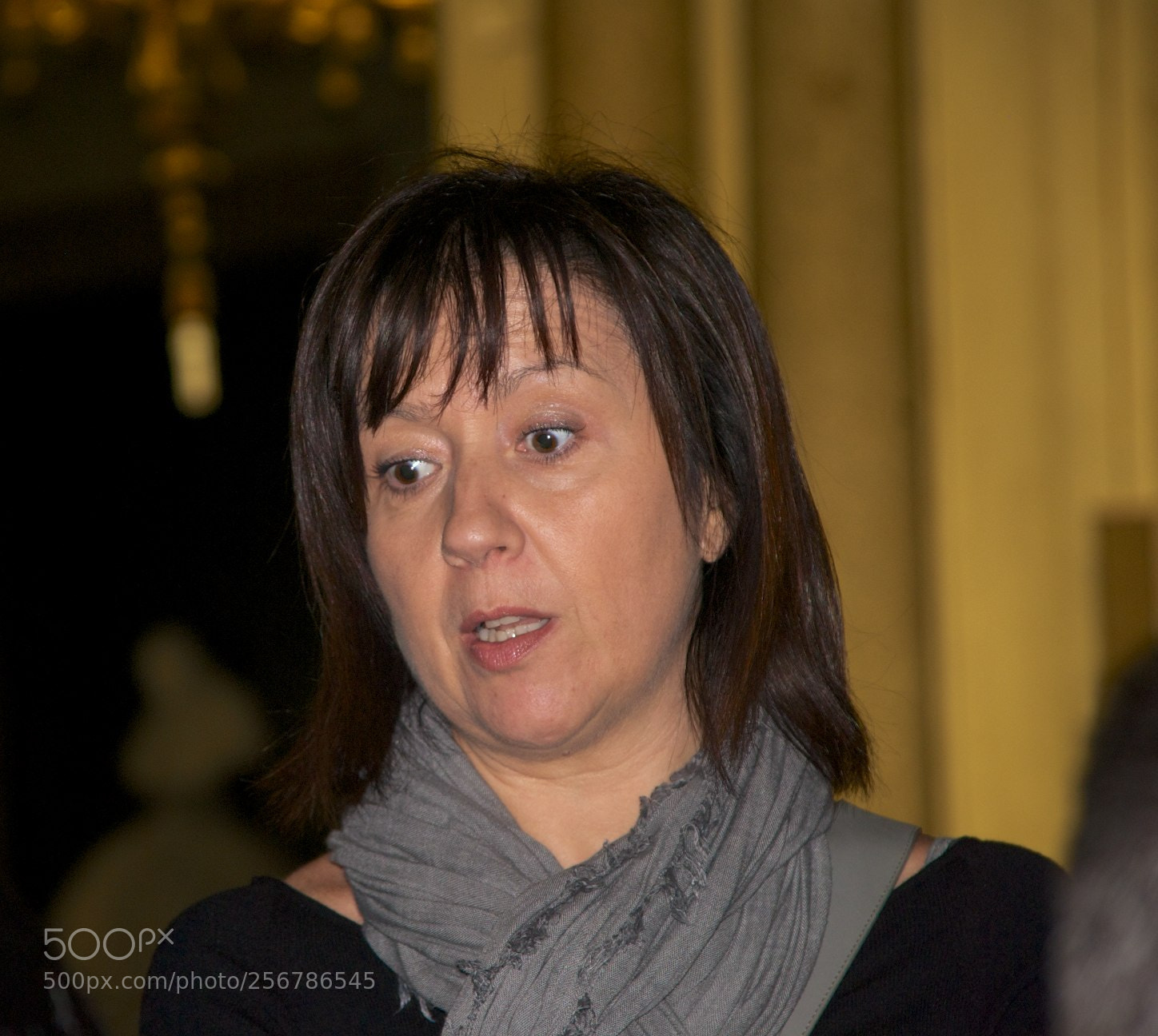 Nikon D60 sample photo. Version photography