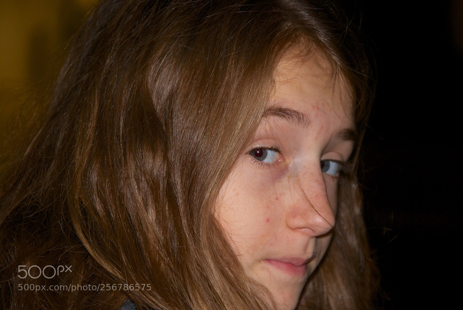 Nikon D60 sample photo. Version photography