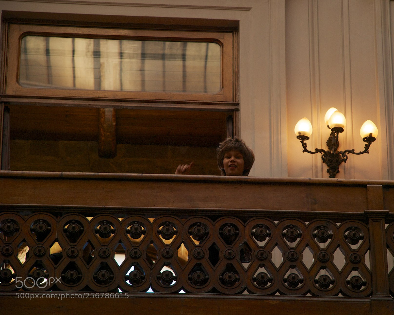 Nikon D60 sample photo. Version photography