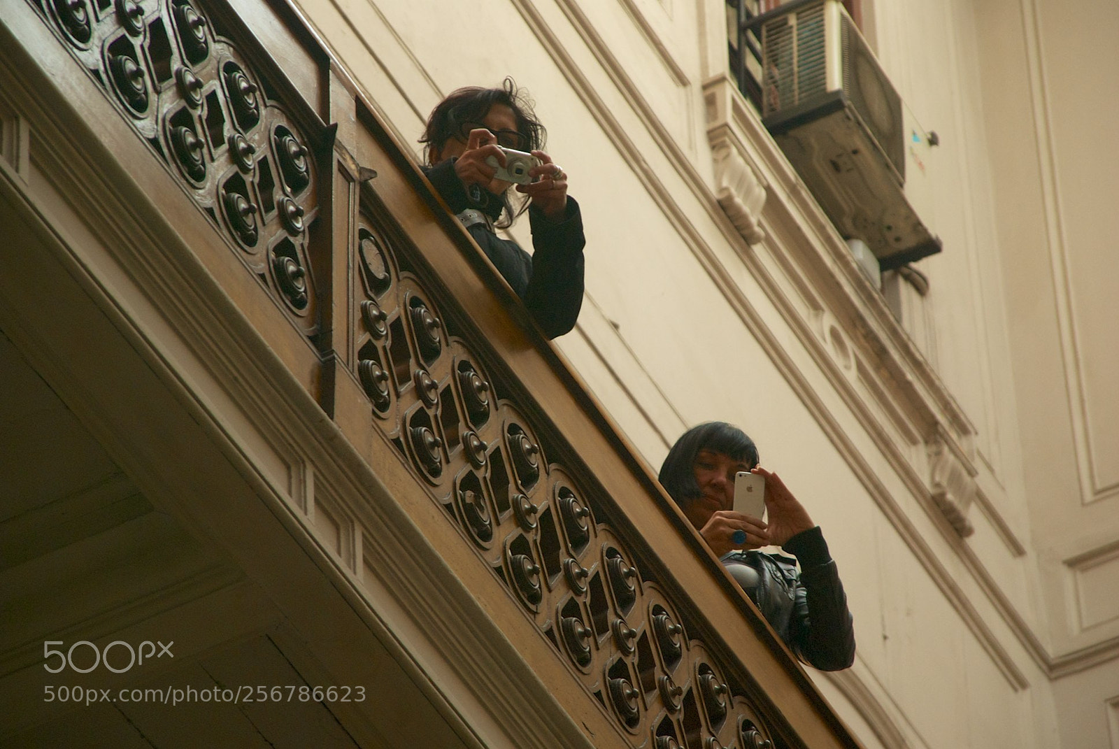 Nikon D60 sample photo. Version photography
