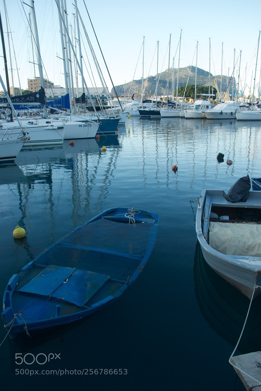 Nikon D60 sample photo. Version photography