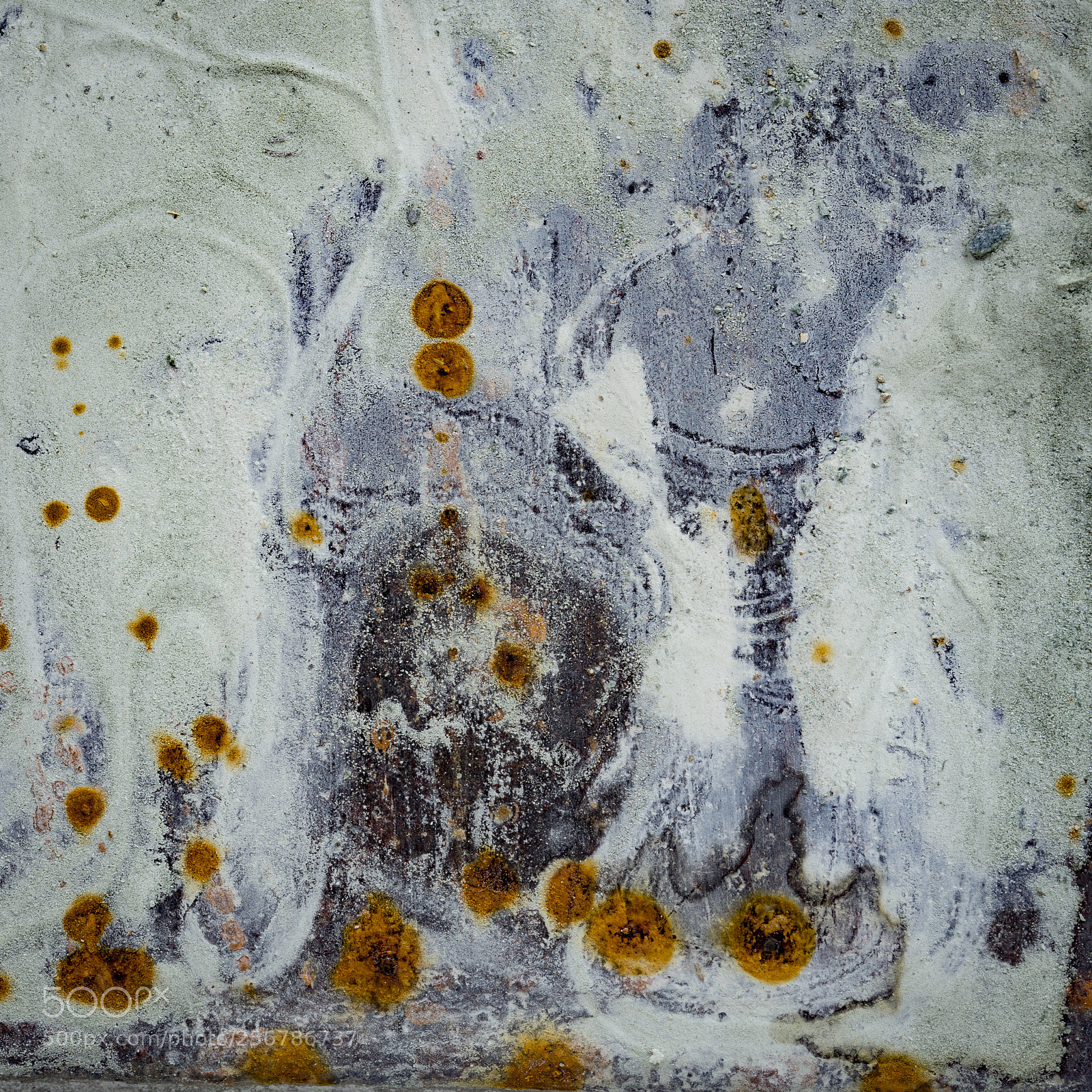 Nikon D500 sample photo. Rust stains and water photography