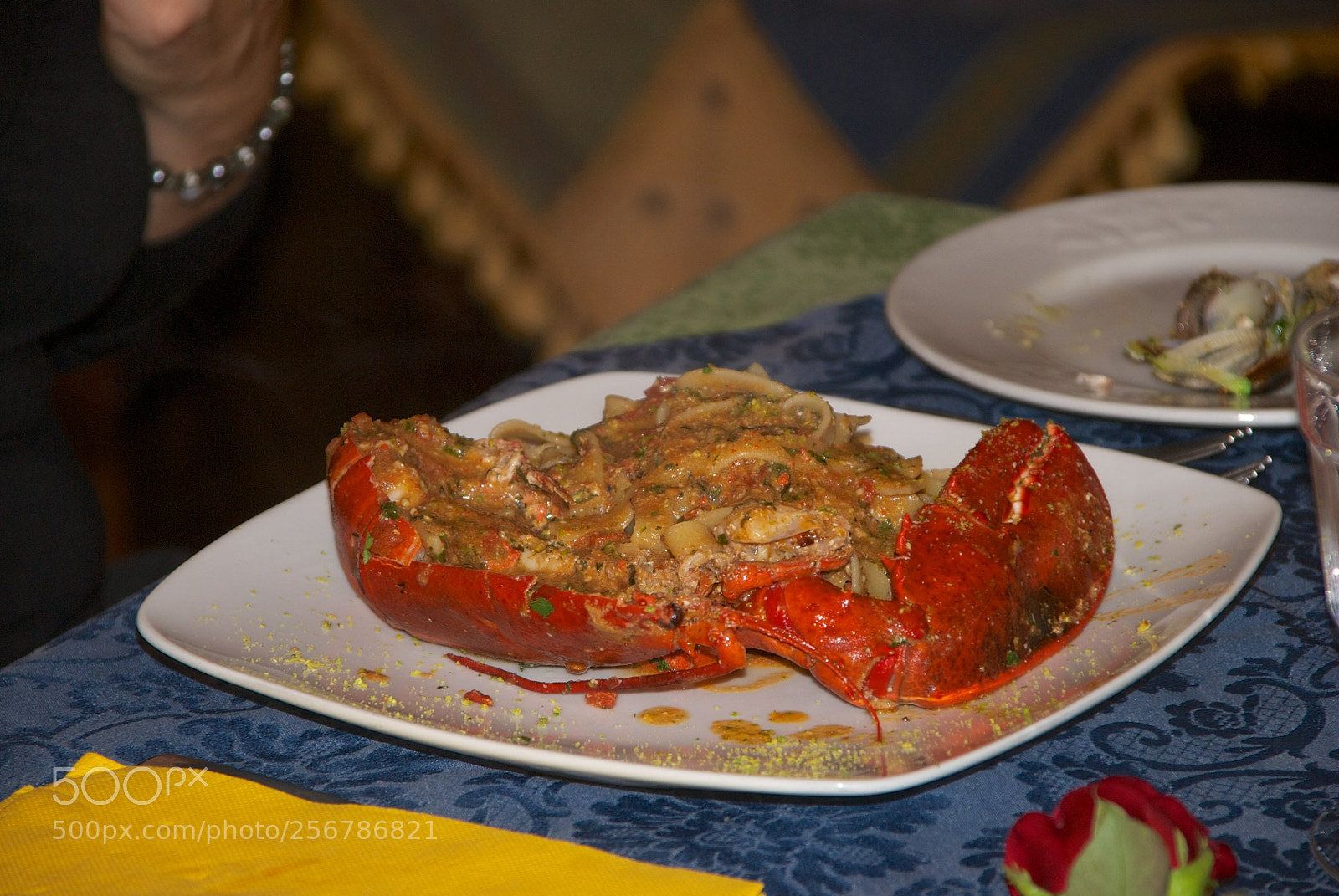 Nikon D60 sample photo. Version photography