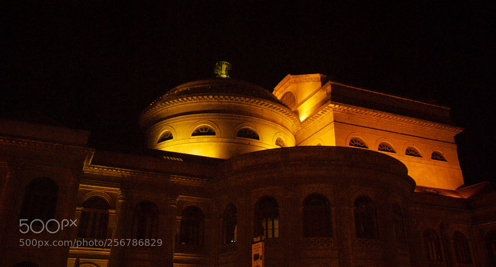 Nikon D60 sample photo. Version photography