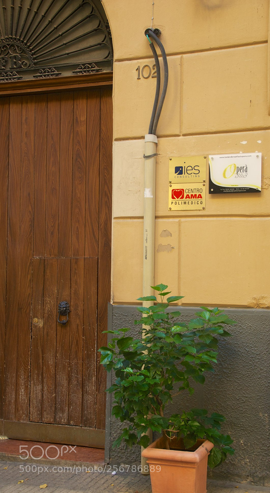 Nikon D60 sample photo. Version photography
