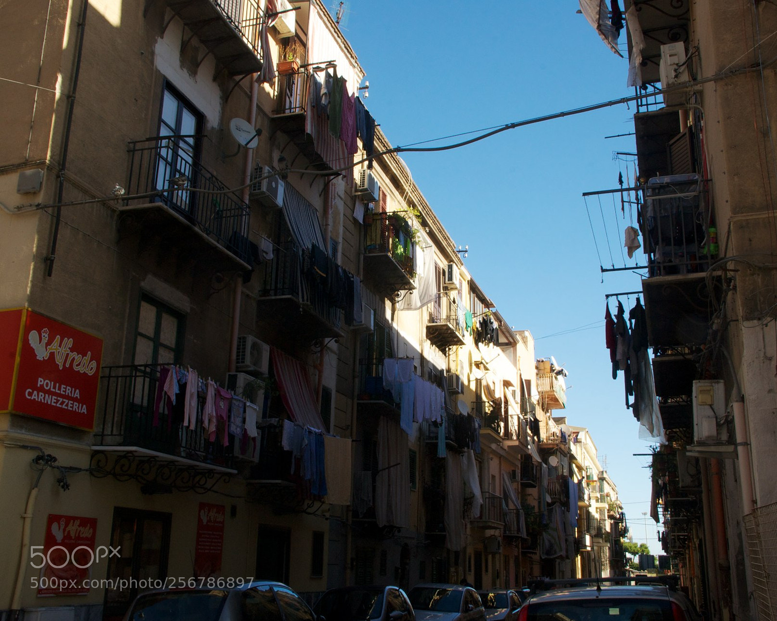 Nikon D60 sample photo. Version photography