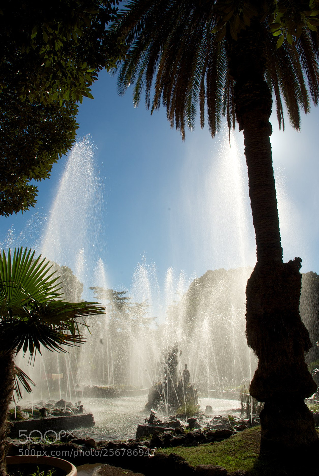 Nikon D60 sample photo. Version photography