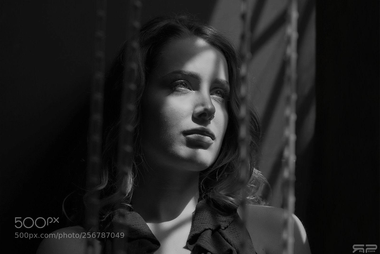 Nikon D750 sample photo. In chains photography