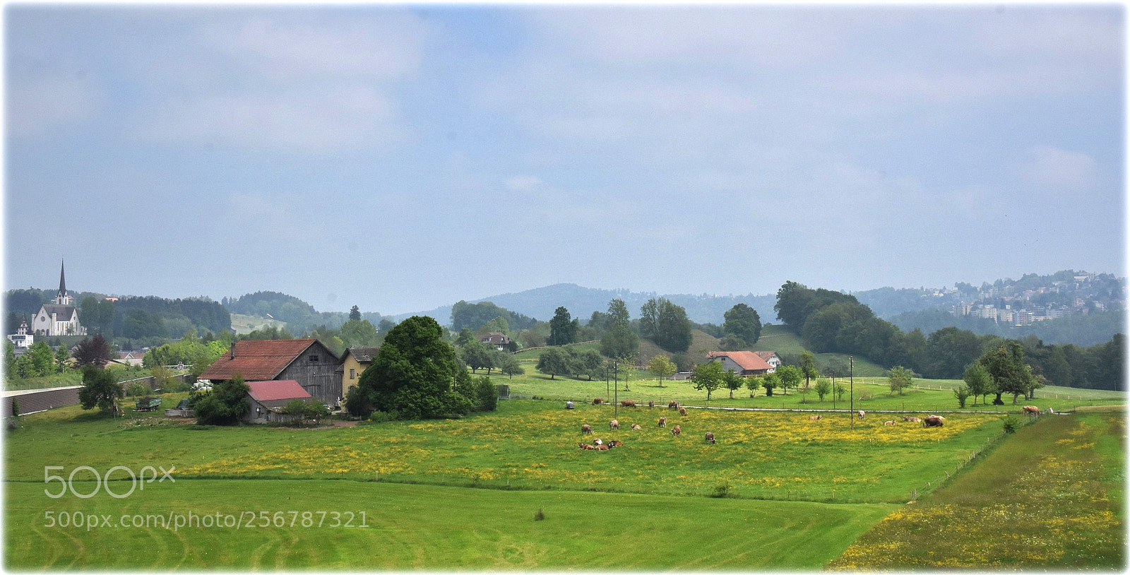 Nikon D7200 sample photo. "abtwil+st.gallen" photography