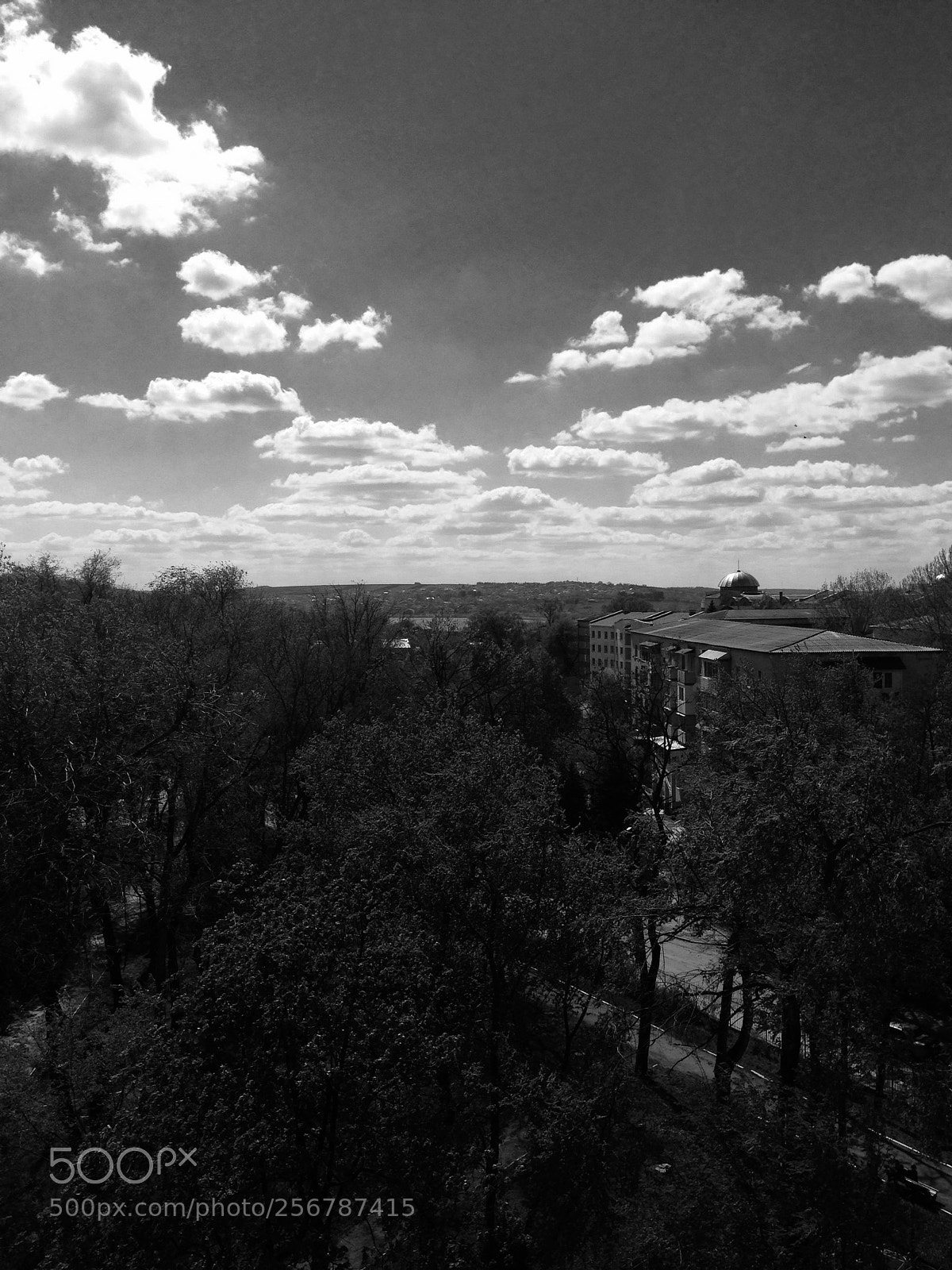 Apple iPhone 5 sample photo. Untitled photography