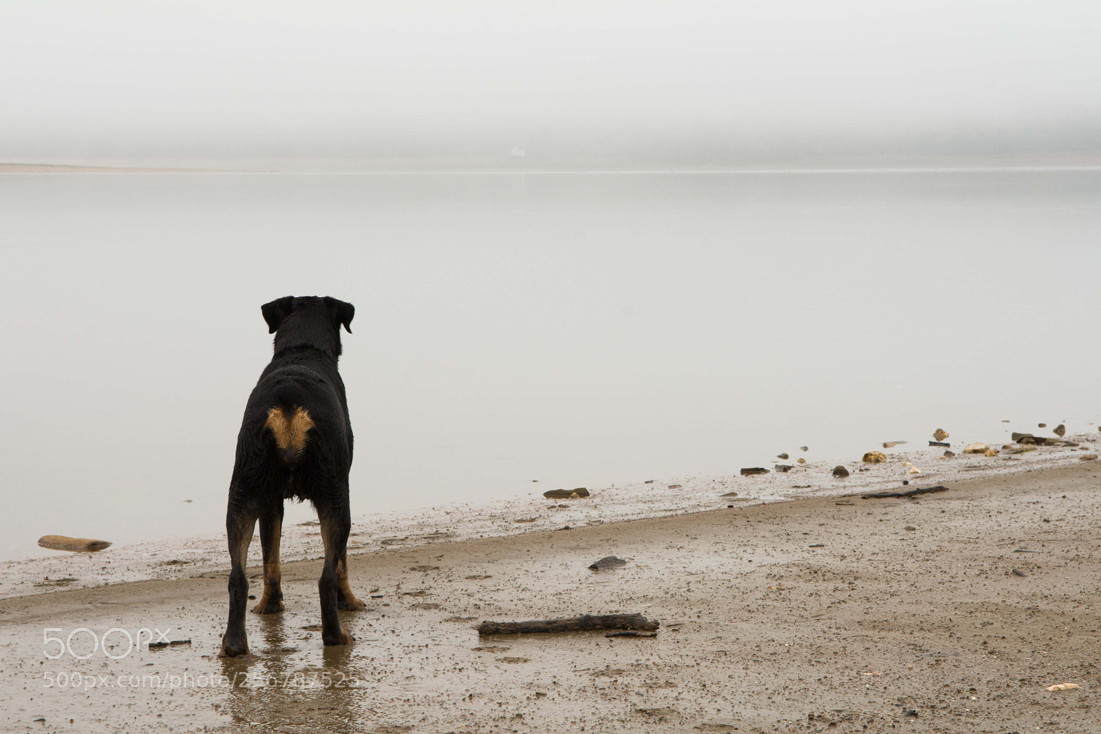 Nikon D7100 sample photo. U/t photography