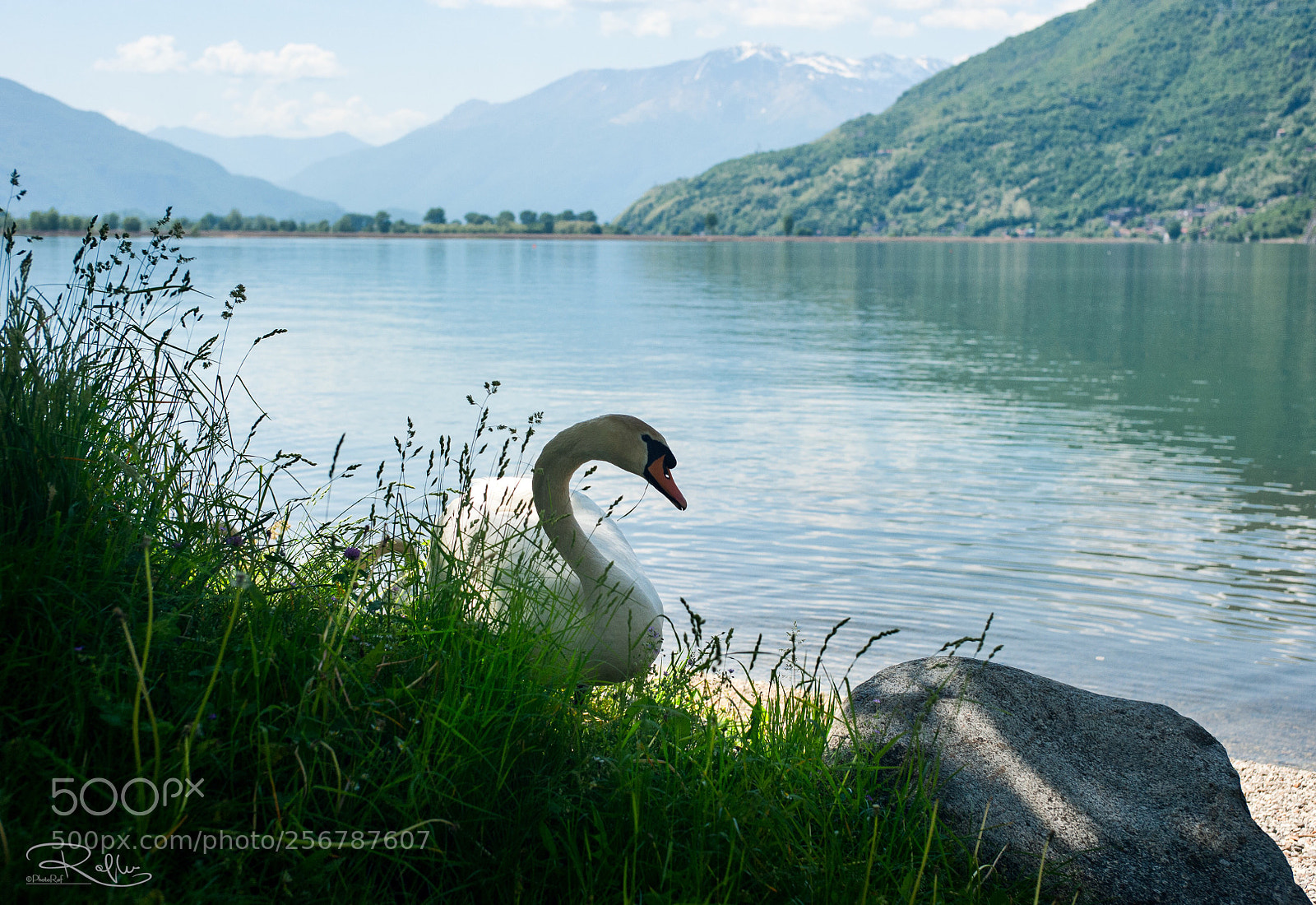 Nikon D3 sample photo. Mezzola lake photography