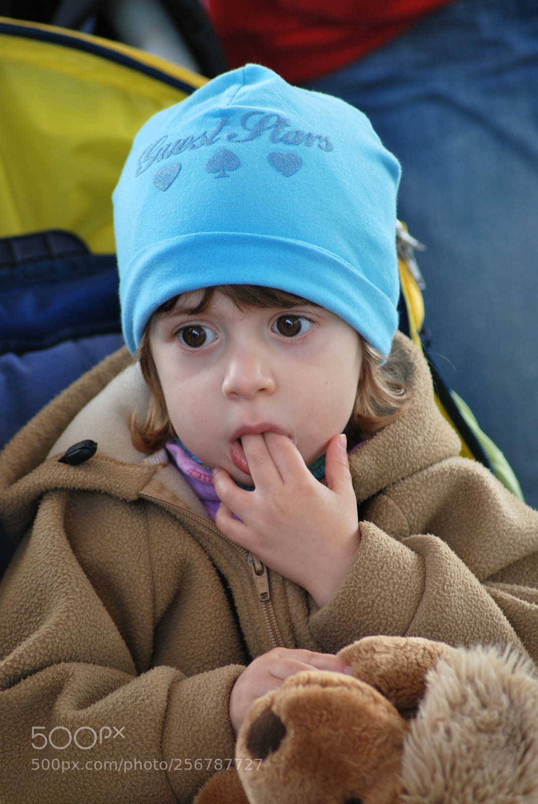 Nikon D60 sample photo. Version photography