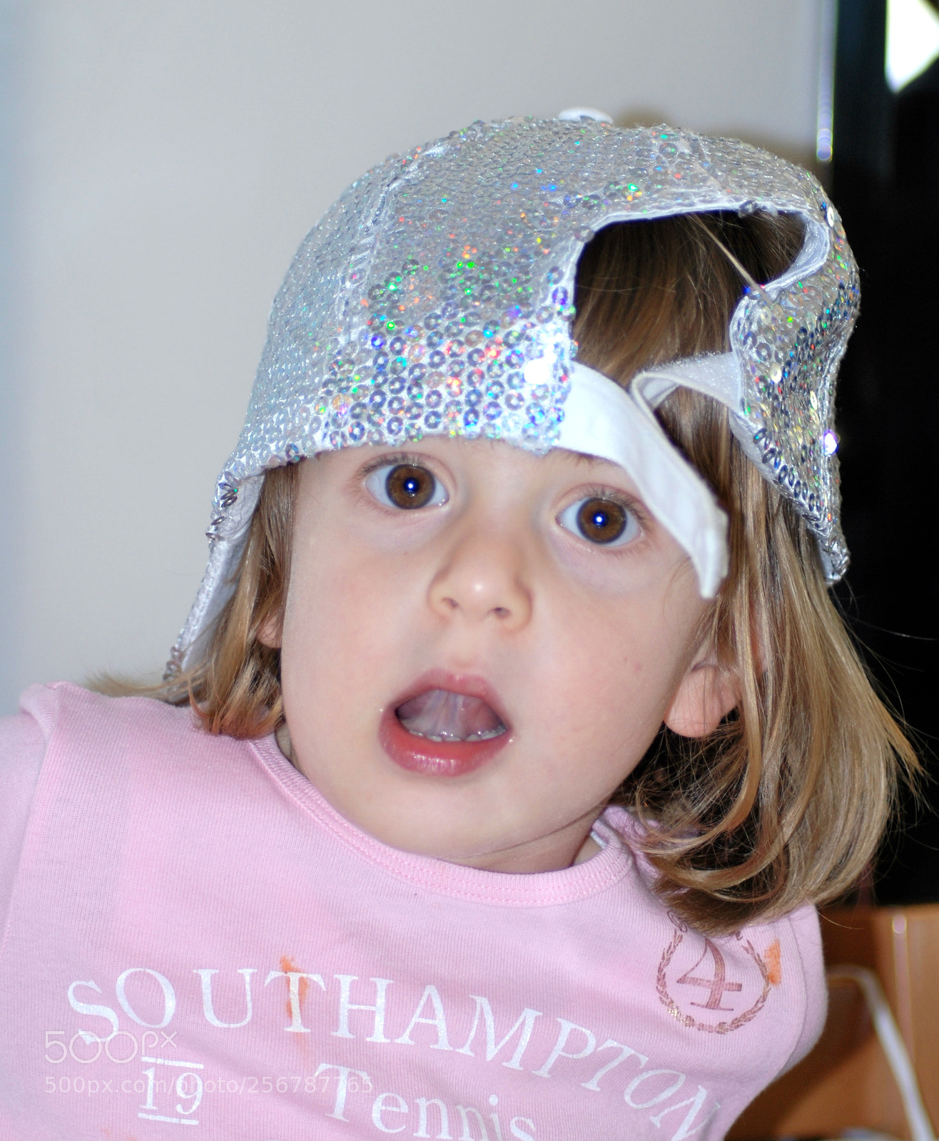 Nikon D60 sample photo. Version photography