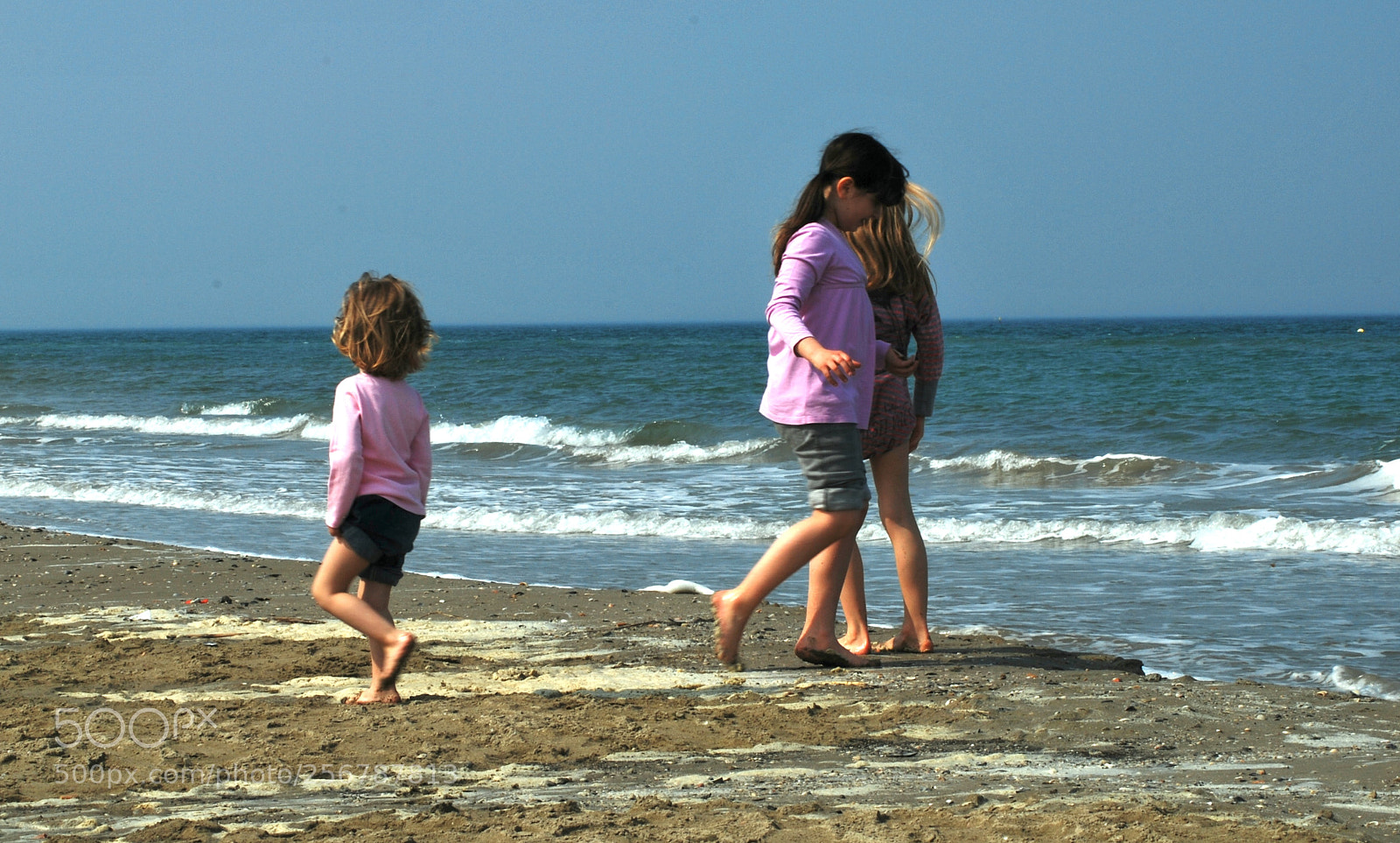 Nikon D60 sample photo. Version photography