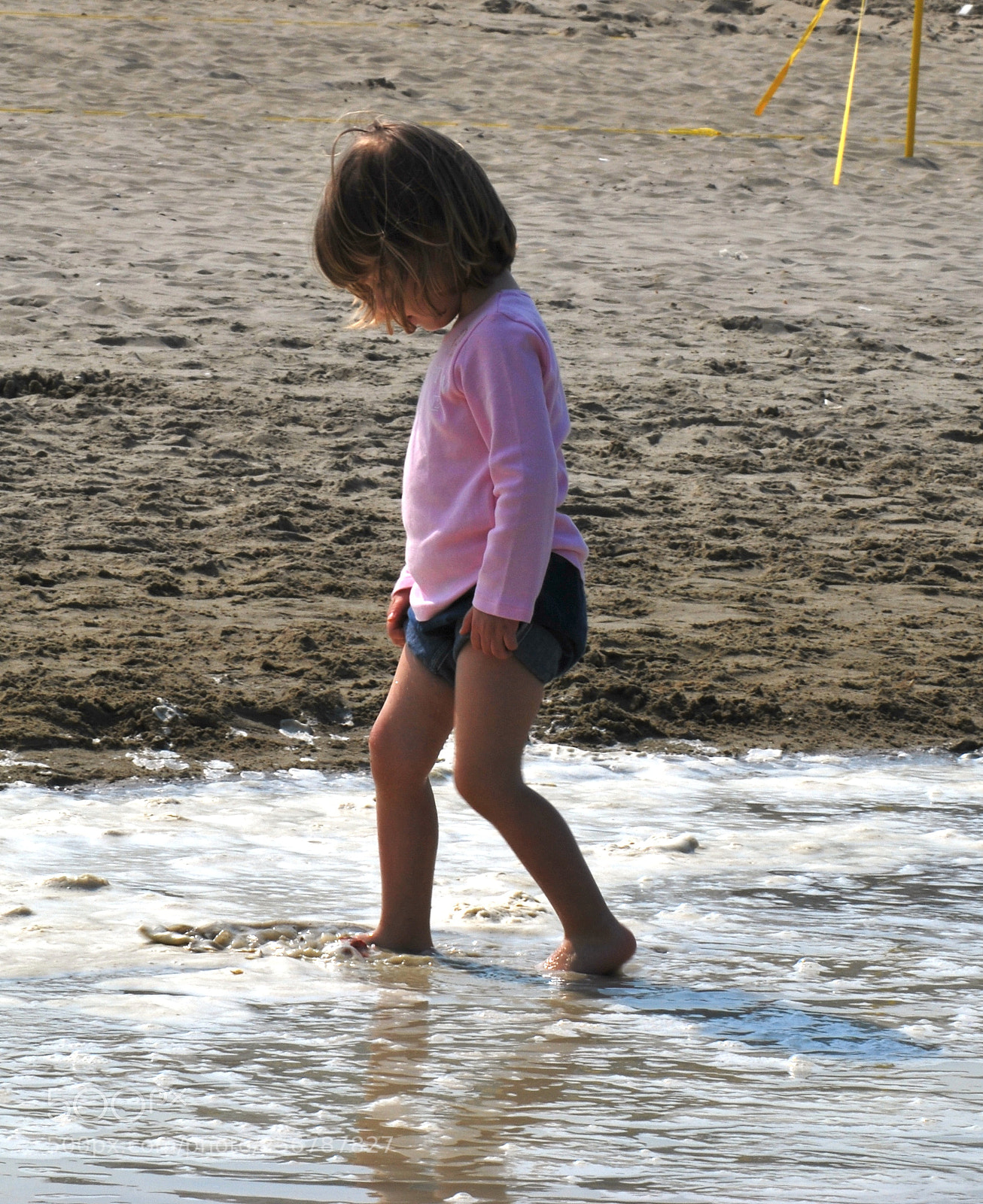 Nikon D60 sample photo. Version photography