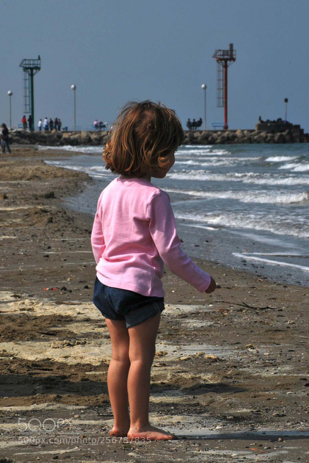 Nikon D60 sample photo. Version photography