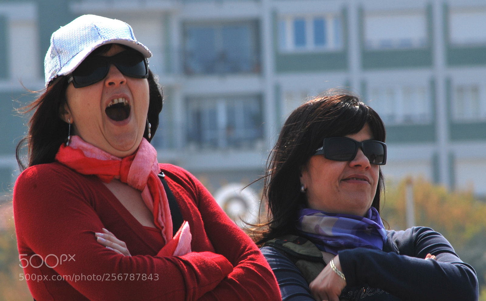 Nikon D60 sample photo. Version photography