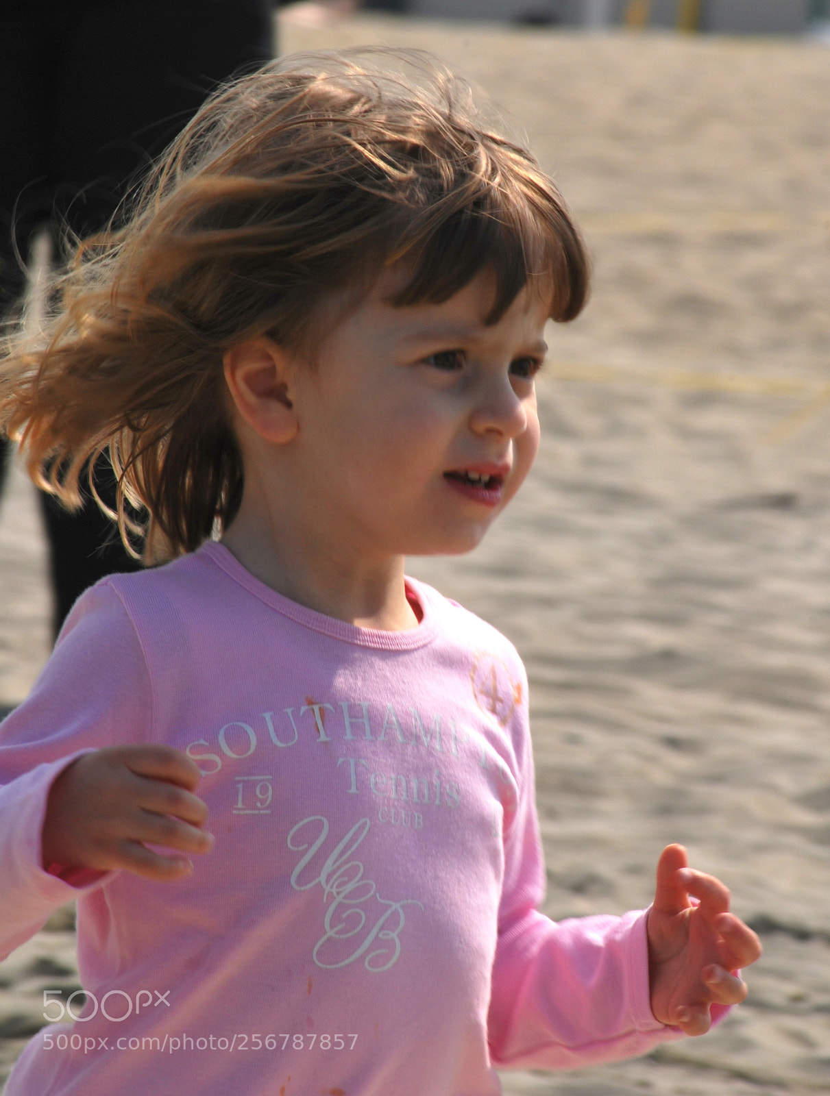 Nikon D60 sample photo. Version photography