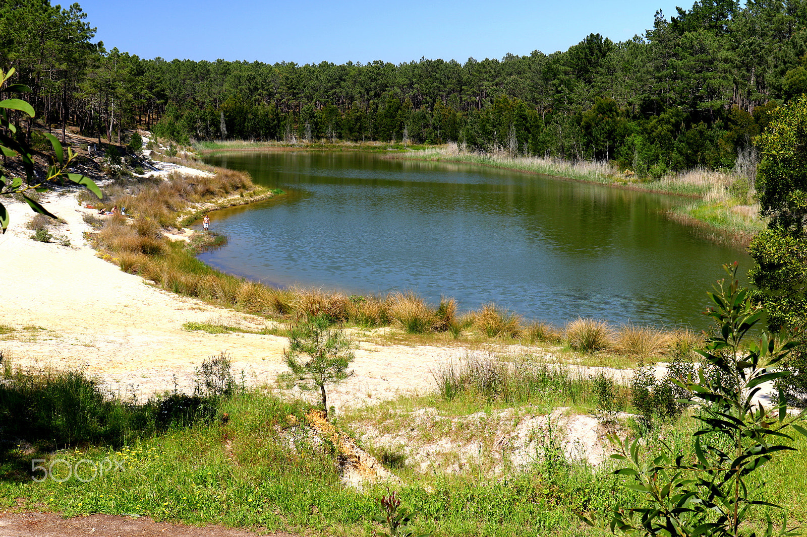 Canon EF 24-70mm F4L IS USM sample photo. Lagoon photography