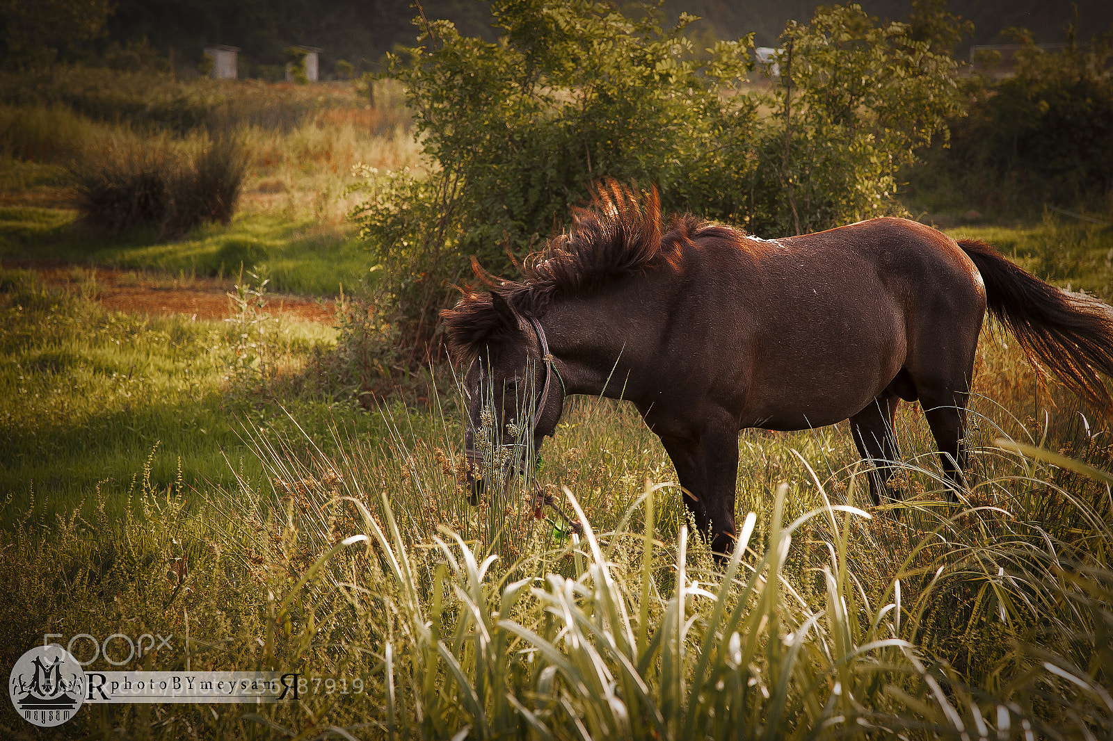 Canon EOS 6D sample photo. Mg photography