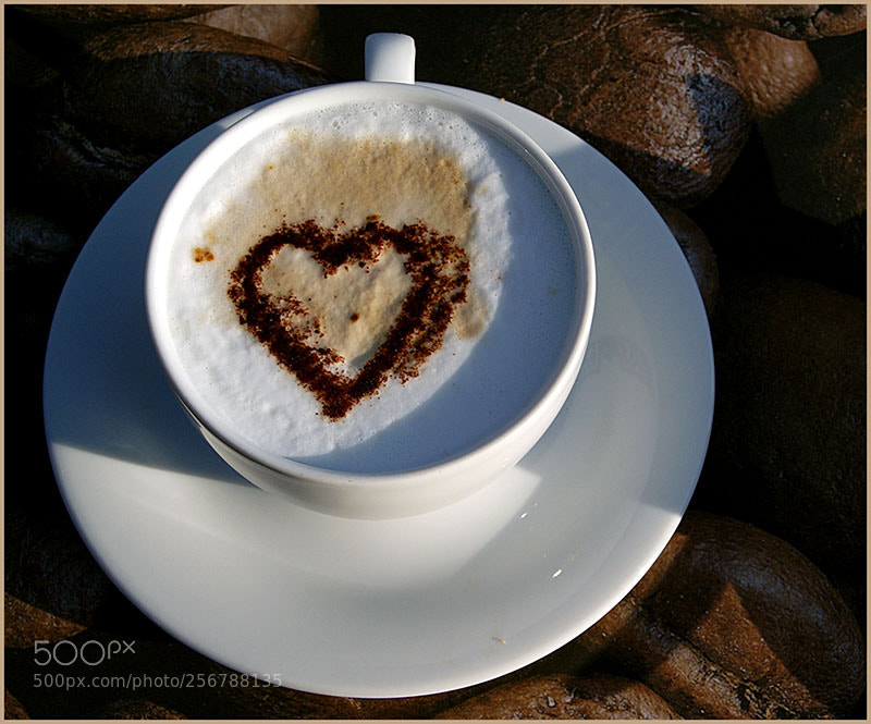 Sony Alpha DSLR-A300 sample photo. Cappuccino with a heart photography