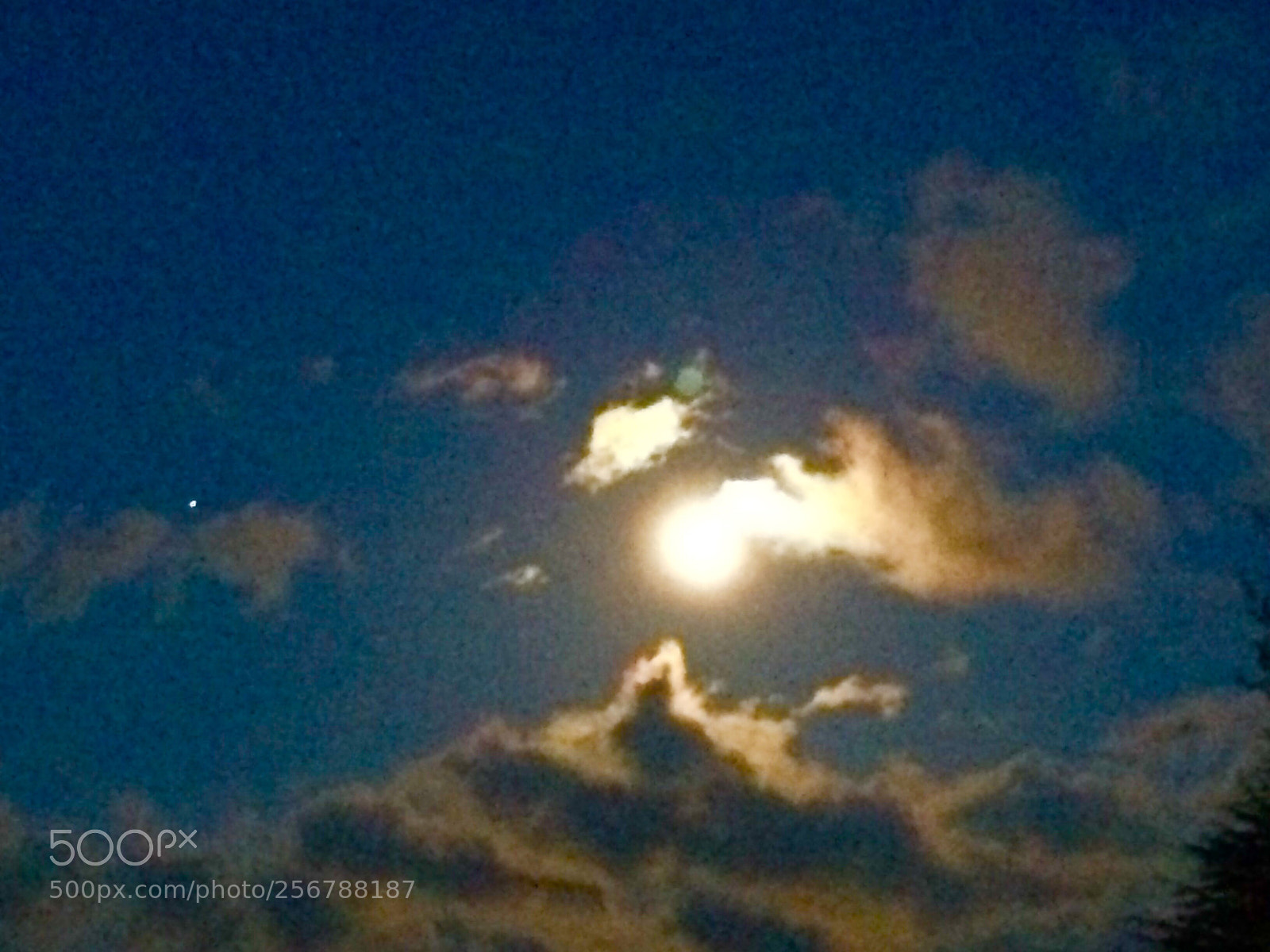 Apple iPhone 5s sample photo. Untitled photography
