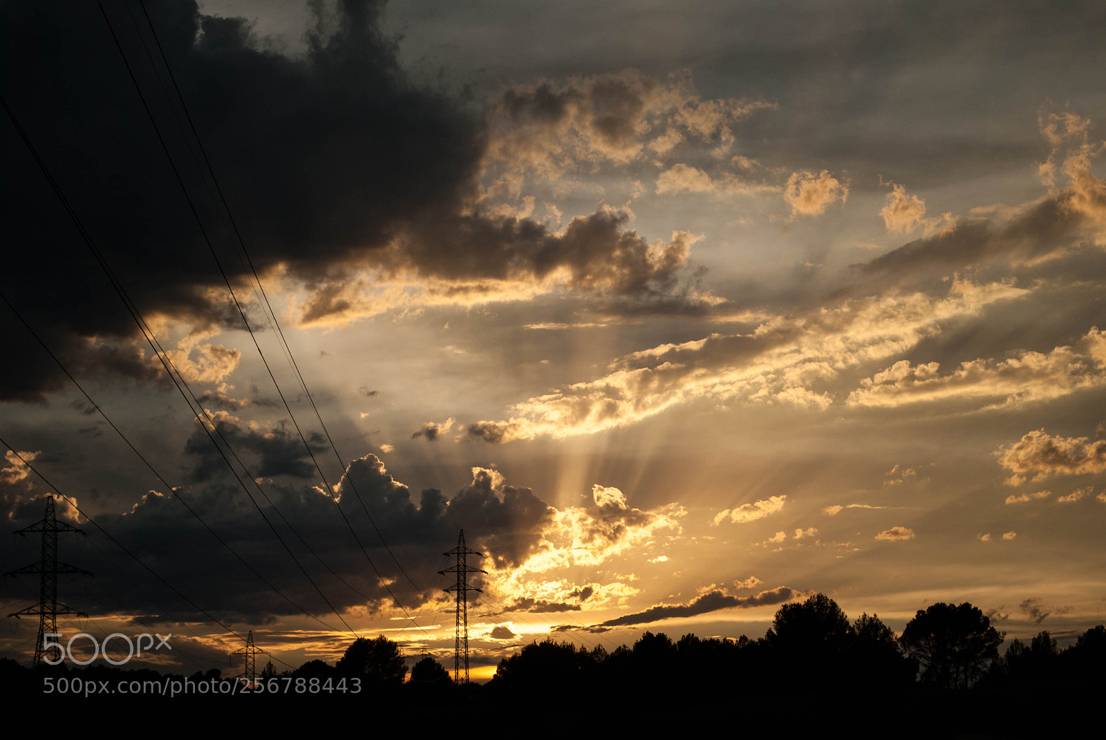 Nikon D3000 sample photo. Sky can burn too photography