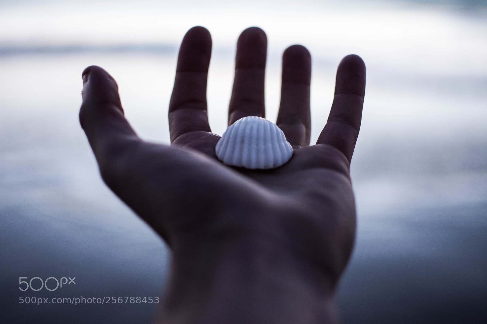 Nikon D7100 sample photo. Life in your hands photography