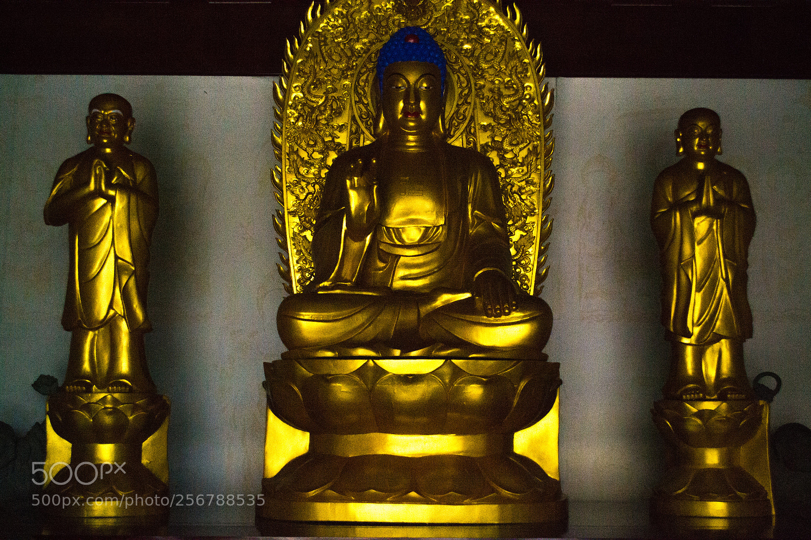 Nikon D3100 sample photo. Budda photography