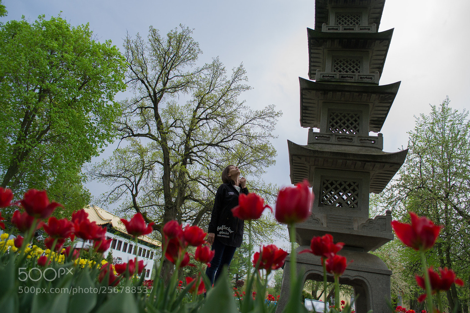 Nikon D3100 sample photo. Russian china blue sky photography
