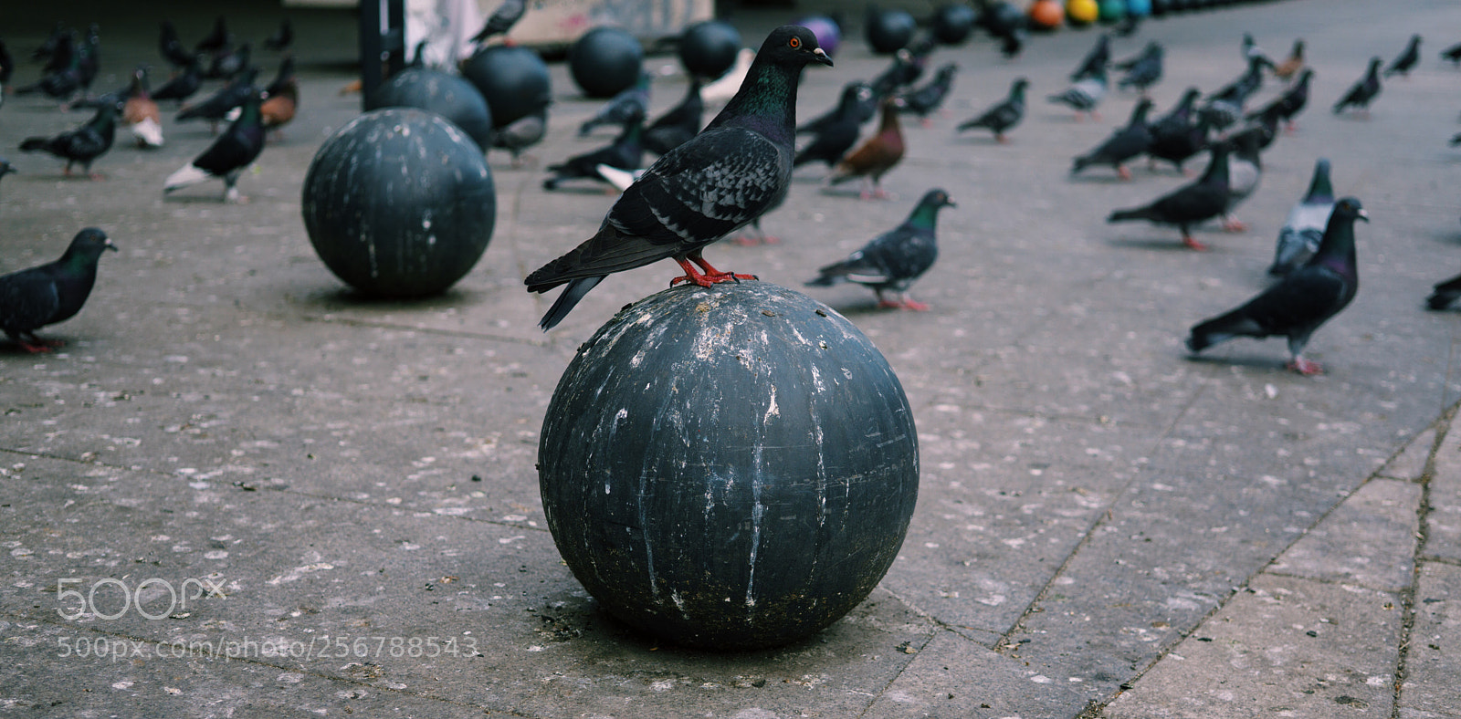 Sony a6000 sample photo. Alignment photography