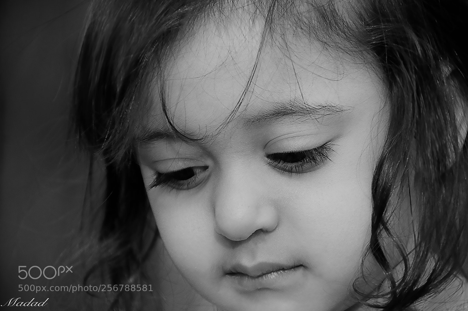 Nikon D90 sample photo. Untitled photography