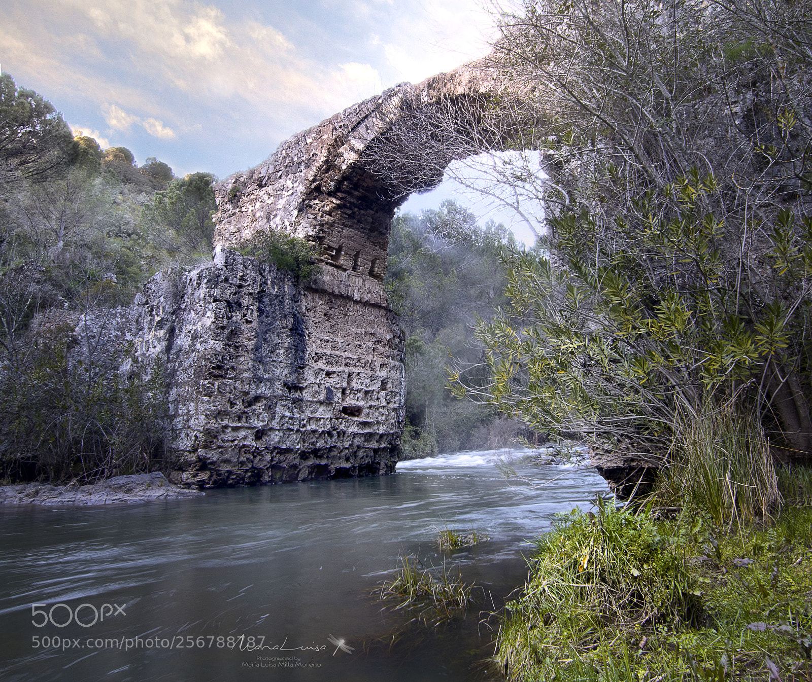 Canon EOS 80D sample photo. Caliphal bridge photography