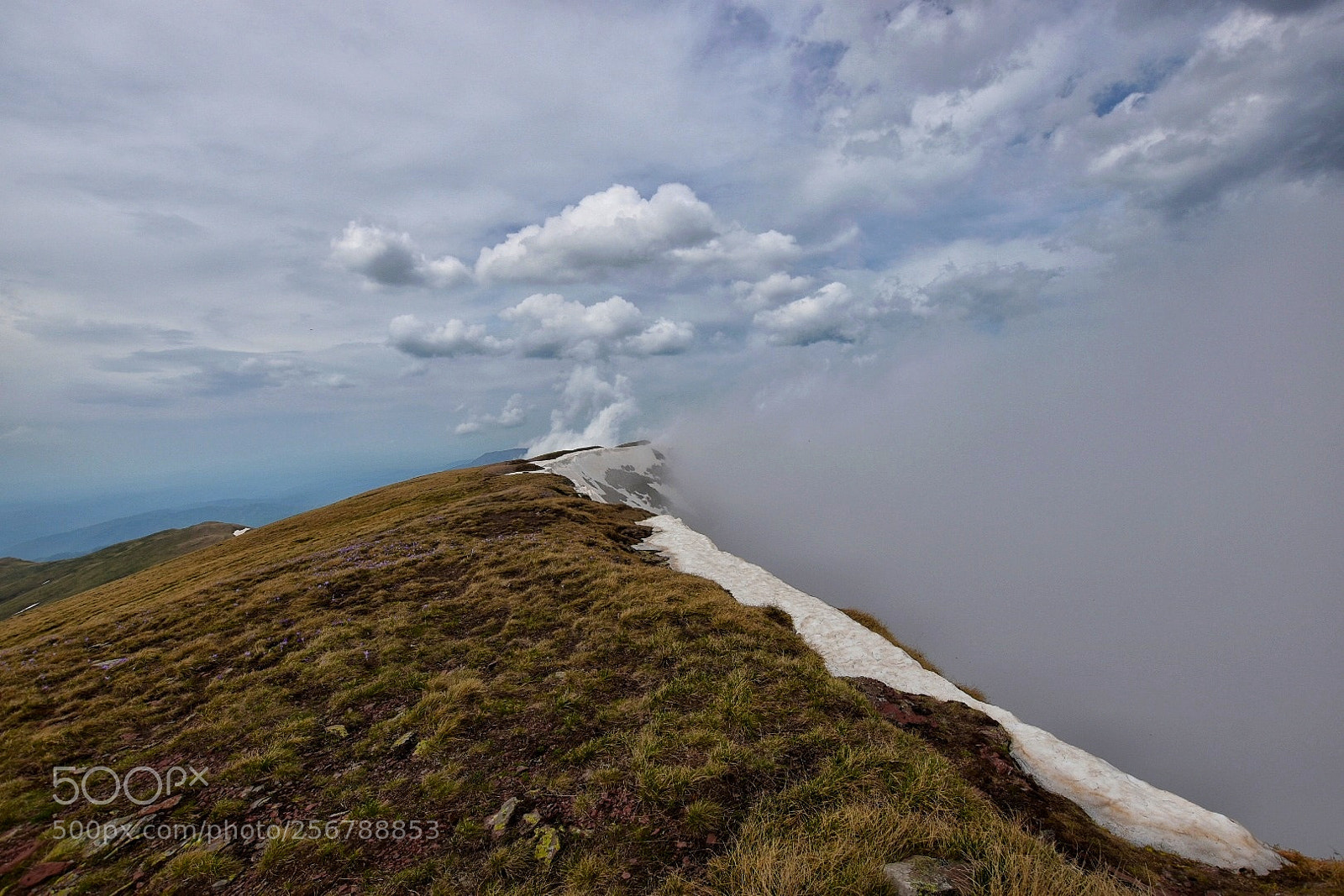 Nikon D5500 sample photo. Fog is coming photography