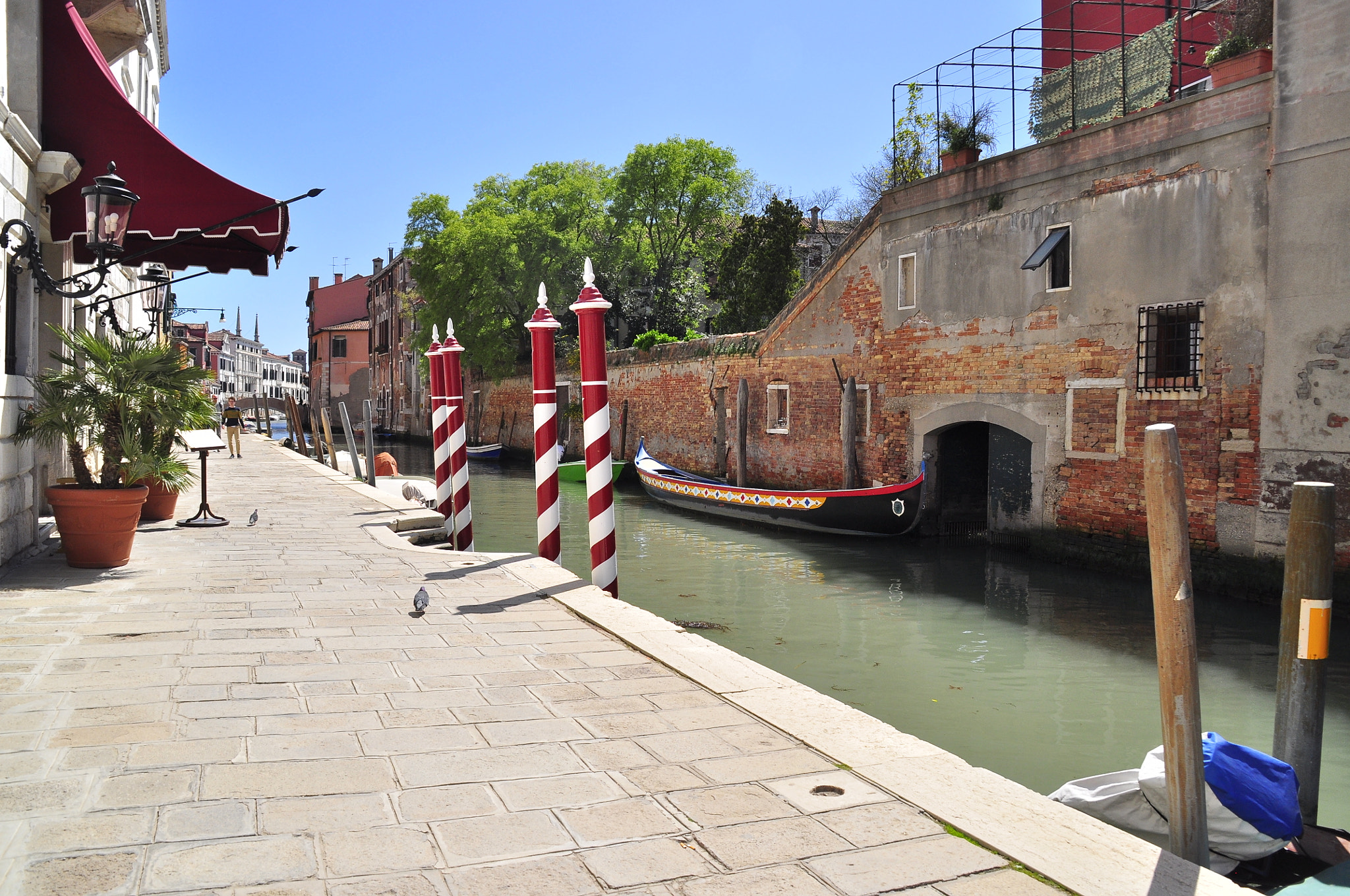 Nikon D5000 sample photo. Serenissima photography