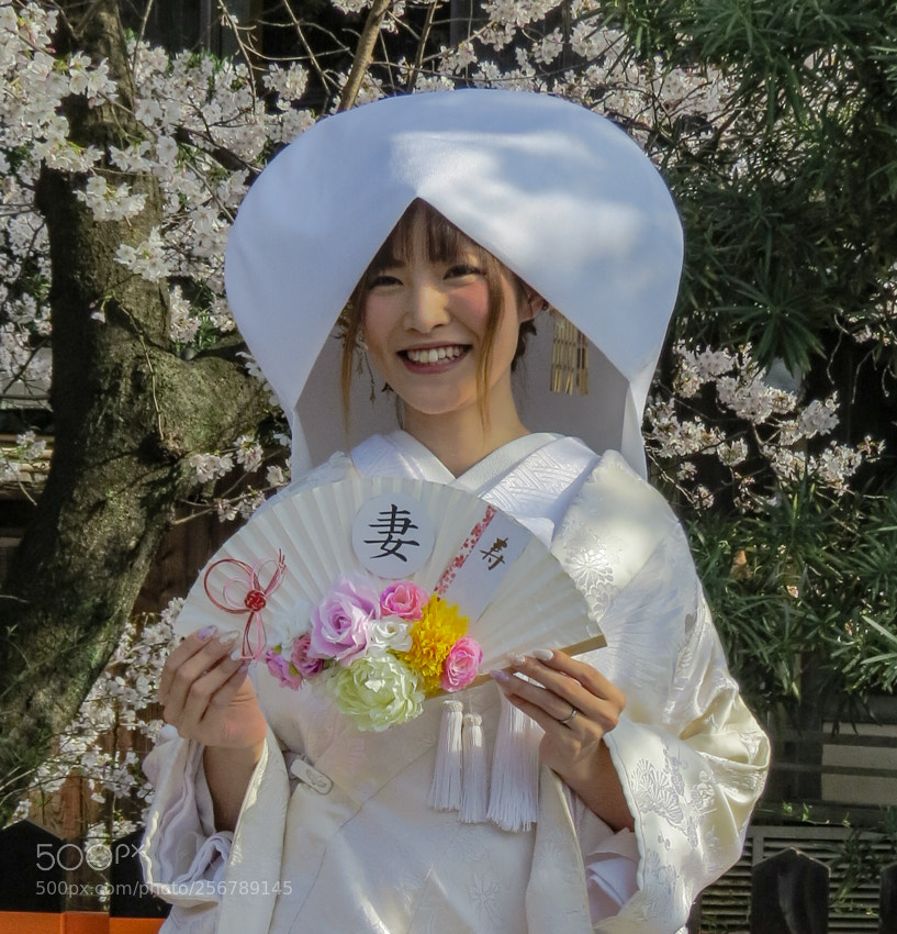 Canon PowerShot SX50 HS sample photo. Kyoto bride photography