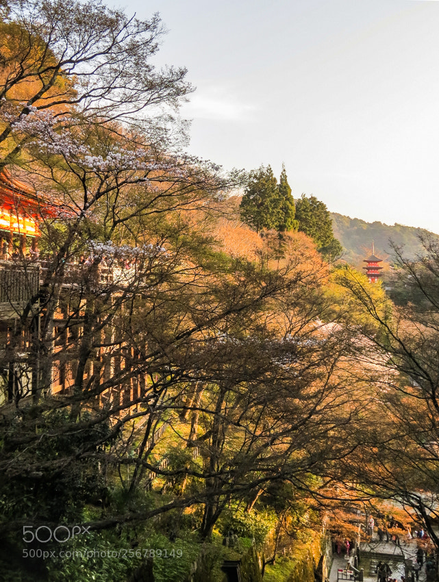 Canon PowerShot SX50 HS sample photo. Kiyomizu photography